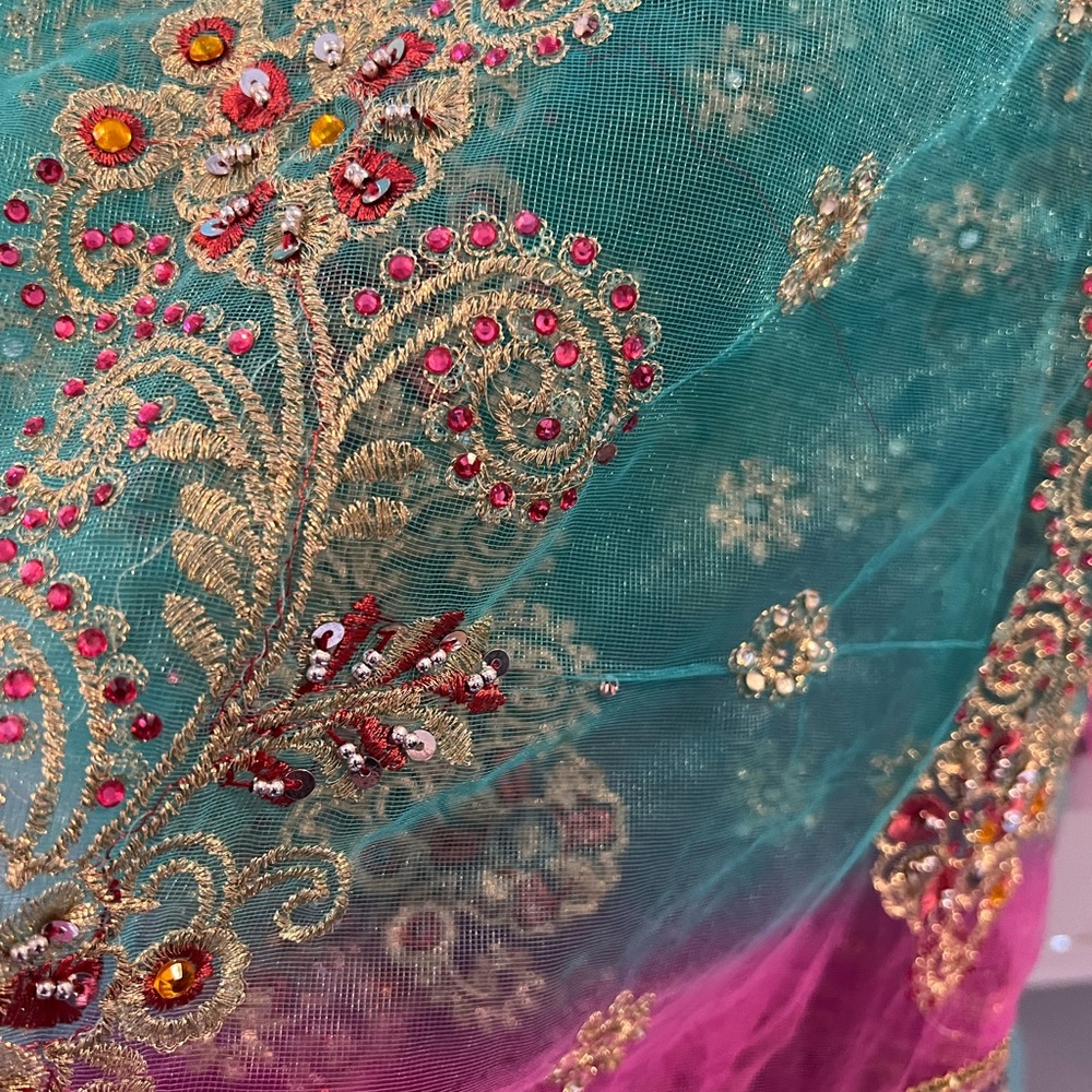 Indian sari